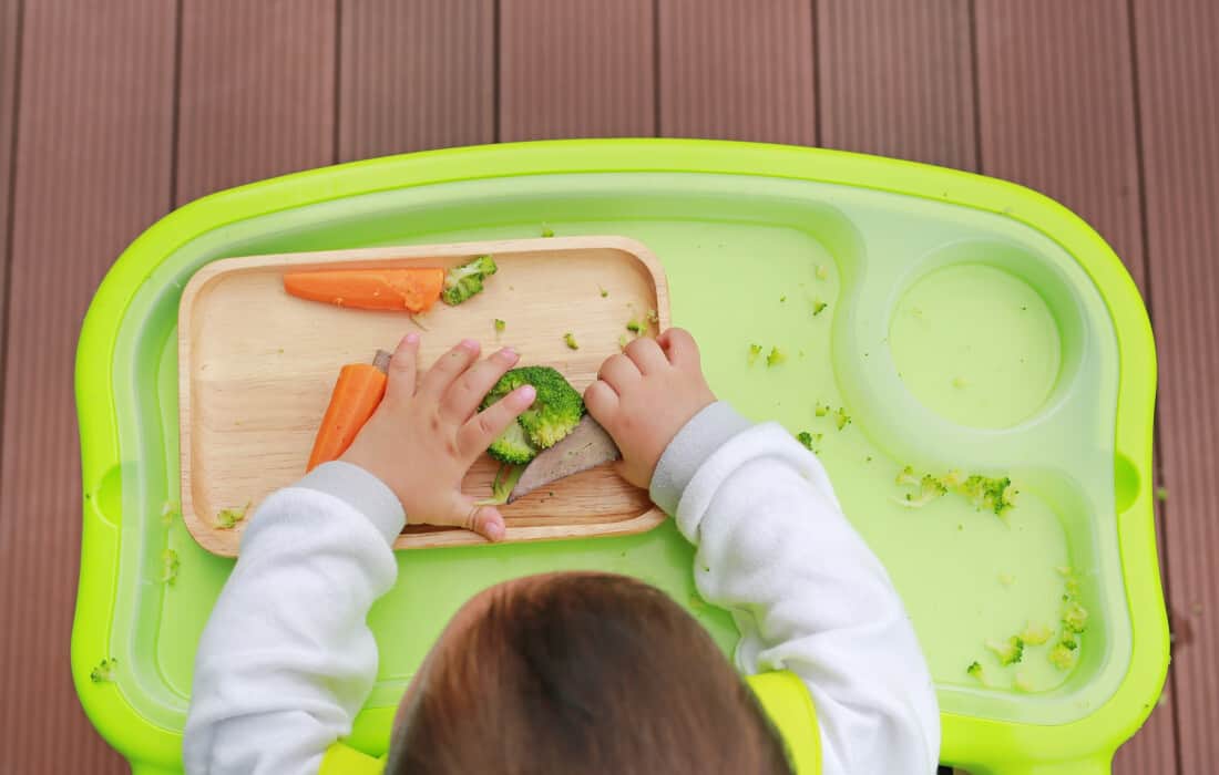 what is baby led weaning