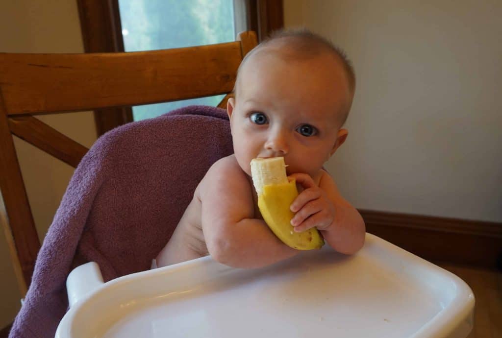Baby Led Weaning foods banana