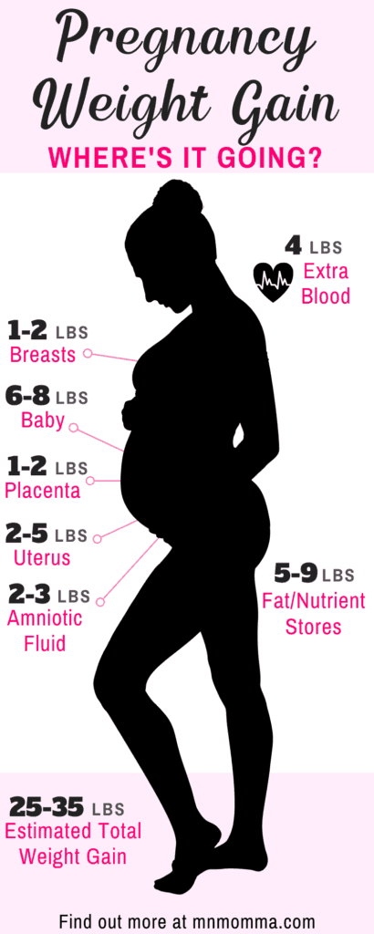 Pregnancy Weight Gain Breakdown - where does the weight go?