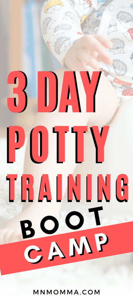 How to Potty Train in 3 days
