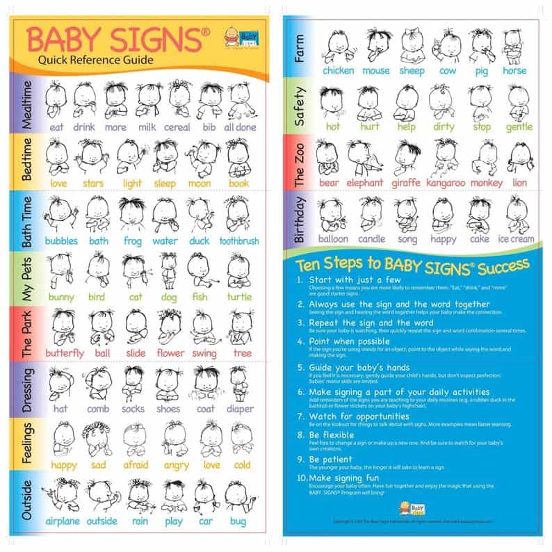 Custom Baby Sign Language Chart